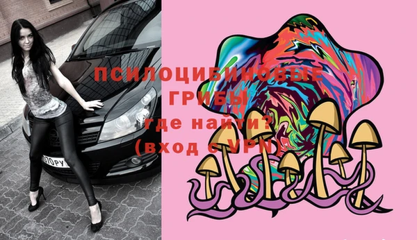 тгк Белокуриха