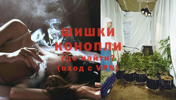 тгк Белокуриха