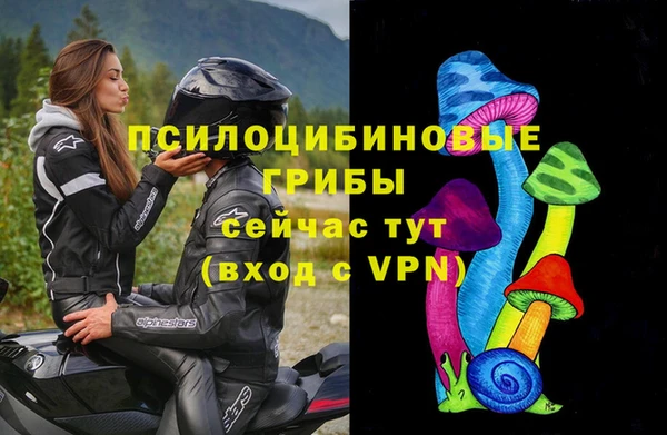 тгк Белокуриха