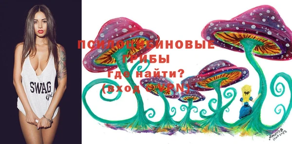 тгк Белокуриха